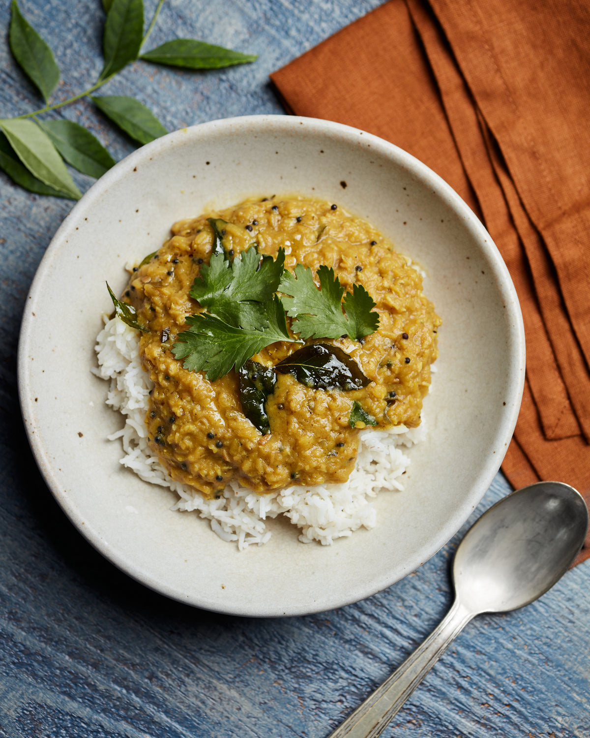 Red Lentil & Coconut Sambar